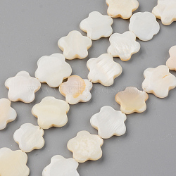 Natural Freshwater Shell Beads Strands, Flower, Seashell Color, 15~17x15~17x2~4mm, Hole: 0.8mm, about 24pcs/Strand, 14.56 inch(37cm)(SHEL-S276-84)