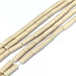 Natural Petrified Wood Beads Strands, Column, 13~14x4mm, Hole: 1.2mm, about 29~30pcs/strand, 15.16''~15.75''(38.5~40cm)(G-F247-49)