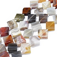 Natural Botswana Agate Beads Strands, Rhombus, 14~15x15x4~6mm, Hole: 0.8mm, about 26pcs/strand, 16.54 inch(42cm)(G-F725-32)