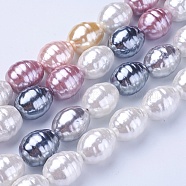 Shell Pearl Beads Strands, Oval with Screw Thread, Mixed Color, 16.5~17.5x13~13.5mm, Hole: 1mm, about 24pcs/strand, 15.74 inch~15.94 inch(40~40.5cm)(BSHE-P030-03)