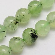 Natural Prehnite Beads Strands, Round, Pale Green, 12mm, Hole: 1mm(G-G457-12mm-03)