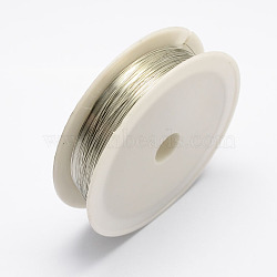 Round Iron Wire, Silver, 24 Gauge, 0.5mm, about 22.96 Feet(7m)/roll, 10 rolls/set(MW-R001-0.5mm-07)