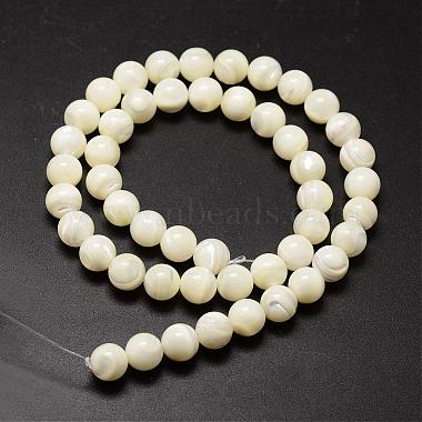Natural Sea Shell Beads Strands(SSHEL-K013-8mm-A)-2