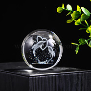 Inner Carving Glass Crystal Ball Diaplay Decoration, Fengshui Home Decor, Dolphin, 60mm(PW-WGF6175-08)