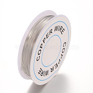 Craft Copper Wire,Cadmium Free & Nickel Free & Lead Free,Silver Color Plated,22 Gauge,0.6mm,about 11.48 Feet(3.5m)/roll(X-CW0.6mm006A-NF)