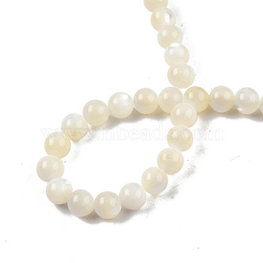 Natural White Shell Bead Strands(X-SSHEL-N003-144D-01)-4