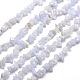 Natural Blue Lace Agate Chips Beads Strands(G-M205-50)-1