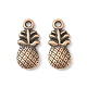 Pineapple Tibetan Style Alloy Pendants(TIBEP-N008-13R-NR)-1