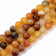 Natural Sardonyx Beads Strands, Frosted, Dyed & Heated, Round, Gold, 8mm, Hole: 1mm, about 48pcs/strand, 14.96 inch(38cm)(G-S369-002C-A02)