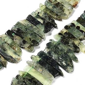 Natural Prehnite Beads Strands, Top Drilled Beads, Rectangle, 24~62x8~14x4~9mm, Hole: 1.8mm, about 34~39pcs/strand, 15.04''~15.51''(38.2~39.4cm)