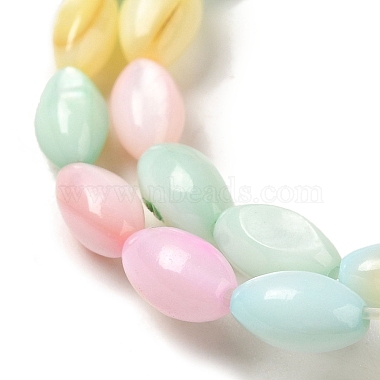 Rainbow Color Dyed Natural Freshwater Shell Beads Strands(SHEL-G018-02H)-3