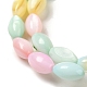 Rainbow Color Dyed Natural Freshwater Shell Beads Strands(SHEL-G018-02H)-3