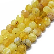 Natural Yellow Opal Beads Strands, Faceted(64 Facets), Round, 6mm, Hole: 0.8mm, about 62~67pcs/strand, 15.16~15.55 inch(38.5~39.5cm)(G-G927-26)