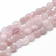 Natural Rose Quartz Beads Strands, Oval, 8~15x7~12x4~12mm, Hole: 1mm, about 30~45pcs/strand, 15.7 inch(X-G-R445-8x10-13)