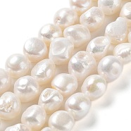Natural Cultured Freshwater Pearl Beads Strands, Two Side Polished, Grade 4A, Seashell Color, 11~17x11~12x8~9mm, Hole: 0.6mm, about 31~34pcs/strand, 14.96''(38~39cm)(PEAR-Z002-06)