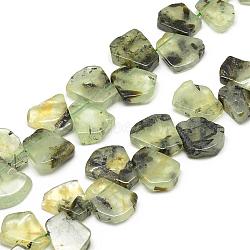 Natural Prehnite Beads Strands, Fan, 16~24x12~22x5~8mm, Hole: 1mm(G-R424-05)
