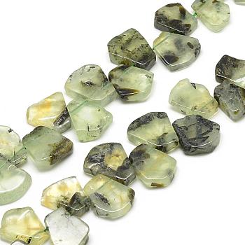 Natural Prehnite Beads Strands, Fan, 16~24x12~22x5~8mm, Hole: 1mm