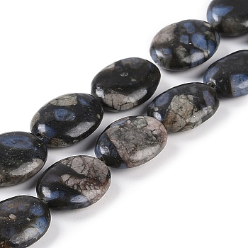 Natural Glaucophane Beads Strands, Flat Oval, 15~16x11~11.5x4.5~5mm, Hole: 1mm, about 26pcs/strand, 15.75 inch(40cm)