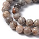 Natural Fossil Coral Beads Strands(G-G212-10mm-31)-3