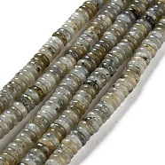 Natural Labradorite Beads Strands, Rondelle, 6~6.5x2~2.5mm, Hole: 1.2mm, about 156~158pcs/strand, 15.12~15.20 inch(38.4~38.6cm)(G-G084-A03-01)