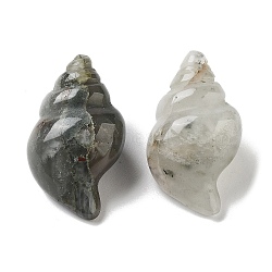 Natural Bloodstone Carved Figurines, for Home Office Desktop Decoration, Shell Shape, 36~38x20.5~22x17~19.5mm(DJEW-L023-H03)