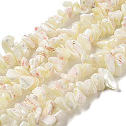 Natural Trochus Shell Beads Strands, Nuggets, Old Lace, 3.5~10x7.5~21x4~9mm, Hole: 0.8~1mm, about 174~178pcs/strand, 29.13~29.92''(74~76cm)(SSHEL-H072-04)
