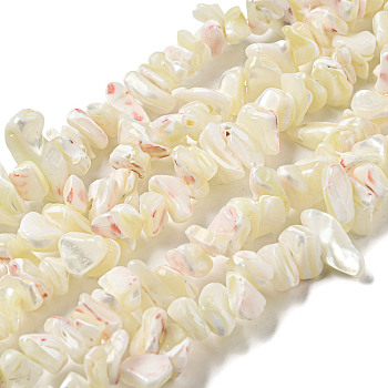 Natural Trochus Shell Beads Strands, Nuggets, Old Lace, 3.5~10x7.5~21x4~9mm, Hole: 0.8~1mm, about 174~178pcs/strand, 29.13~29.92''(74~76cm)