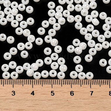 Glass Seed Beads(X1-SEED-H002-E-A121)-4