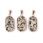 Natural Dalmatian Jasper Pendants, Faceted Rectangle Gems Charms, with with Brass Findings, Golden, 30.5~31.5x14.5~15.5x5.5~6.5mm, Hole: 7x4mm(G-N349-03D-G)