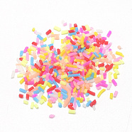 Handmade Polymer Clay Sprinkle Beads, Fake Food Craft, Undrilled/No Hole Beads, Mixed Color, 0.5~5x1mm(CLAY-Q242-06D)
