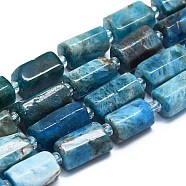 Natural Blue Apatite Beads Strands, with Seed Beads, Faceted, Column, 12~13x6~8x6~8mm, Hole: 1mm, about 28pcs/strand, 15.55''~15.75'(39.5~40cm)(G-K245-I07-01)