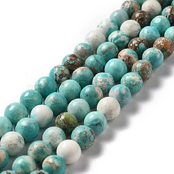 Natural Howlite Beads Strands, Dyed & Heated, Round, Turquoise, 7~8.5mm, Hole: 1.2mm, about 49~52pcs/strand, 15.51~15.67''(39.4~39.8cm)(X-G-L555-02C-02)