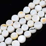 Natural Trochid Shell/Trochus Shell Beads Strands, Undyed, Flat Round, 5~9x1~6mm, Hole: 0.8mm, about 49~50pcs/strand, 15.16 inch~15.87 inch(38.5cm~40.3cm)(SHEL-S258-083-A01)