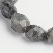 Nuggets Natural Labradorite Beads Strands, 15~22x8~17mm, Hole: 1mm, about 18~22pcs/strand, 15 inch(G-D770-02)