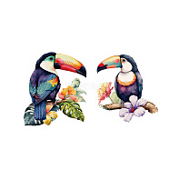 PVC Wall Stickers, Wall Decoration, Toucan, 860x390mm(DIY-WH0228-1033)