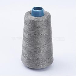 Polyester Thread, Silver, 0.28mm, about 1749.78 yards(1600m)/roll(OCOR-WH0001-17)