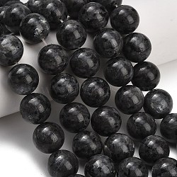 Natural Larvikite Beads Strands, Smooth Round, 16mm, Hole: 1mm, about 25pcs/strand, 15.94~16.06''(40.5~40.8cm)(GSR16mmC128)