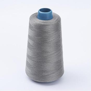 Polyester Thread, Silver, 0.28mm, about 1749.78 yards(1600m)/roll