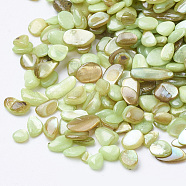Shell Beads, No Hole Beads, Dyed, Chip, Green Yellow, 1~15x1~15x0.5~5mm(X-SHEL-R020-01)