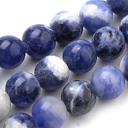 Natural South Africa Sodalite Beads Strands, Round, 8mm, Hole: 1mm, about 45~50pcs/strand, 15.7 inch(G-S259-35-8mm)