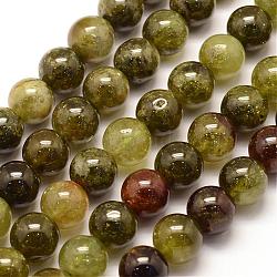 Natural Green Garnet Beads Strands, Andradite Beads, Round, 10mm, Hole: 1mm, about 39pcs/strand, 15.3 inch(39cm)(G-G661-10mm)