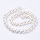 Shell Pearl Beads Strands(X-BSHE-L035-6mm-I13)-2