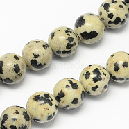 Natural Dalmatian Jasper Stone Bead Strands, Round, 4mm, Hole: 0.5mm, about 95pcs/strand, 14.9 inch(G-R193-14-4mm)