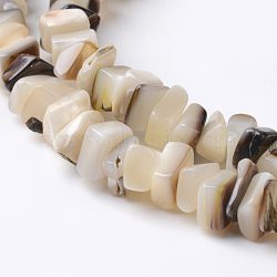 Natural Shell Rectangle Bead Strands, PapayaWhip, 8~12x8~12x2~5mm, Hole: 1mm, about 105pcs/strand, 15.7 inch(BSHE-O016-08)