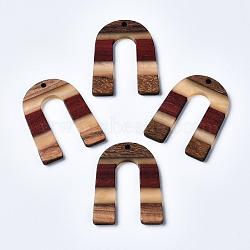 Resin & Walnut Wood Pendants, U Shape, Colorful, 36.5x28x2~3mm, Hole: 2mm(X-RESI-R428-07)