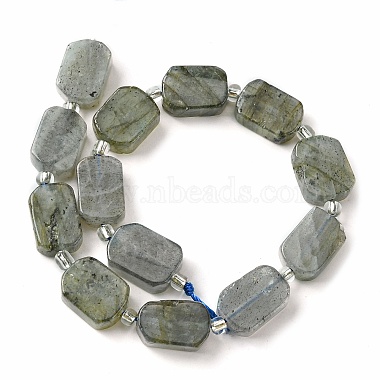 Natural Labradorite Beads Strands(G-C098-A05-01)-3