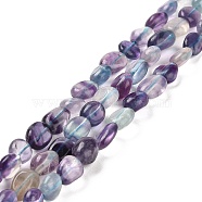 Natural Fluorite Beads Strands, Nuggets, Tumbled Stone, 6.8~10.3x6.5~7.4x3.7~6.3mm, Hole: 0.8mm, about 47~48pcs/strand, 15.35~15.43''(39~39.2cm)(G-B048-A01-02)