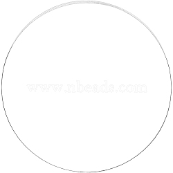 Acrylic Transparent Pressure Plate, Flat Round, Clear, 300x3mm(OACR-BC0001-02)