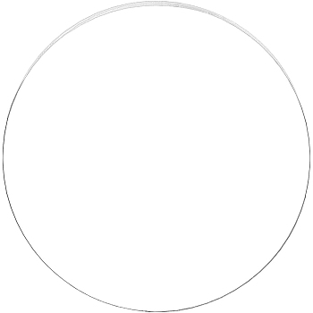 Acrylic Transparent Pressure Plate, Flat Round, Clear, 300x3mm