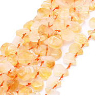 Natural Citrine Beads Strands, Teardrop, 12~20x5~15x3~7mm, Hole: 0.8mm, about 24pcs/strand, 15.04''(38.2cm)(G-E569-R06)